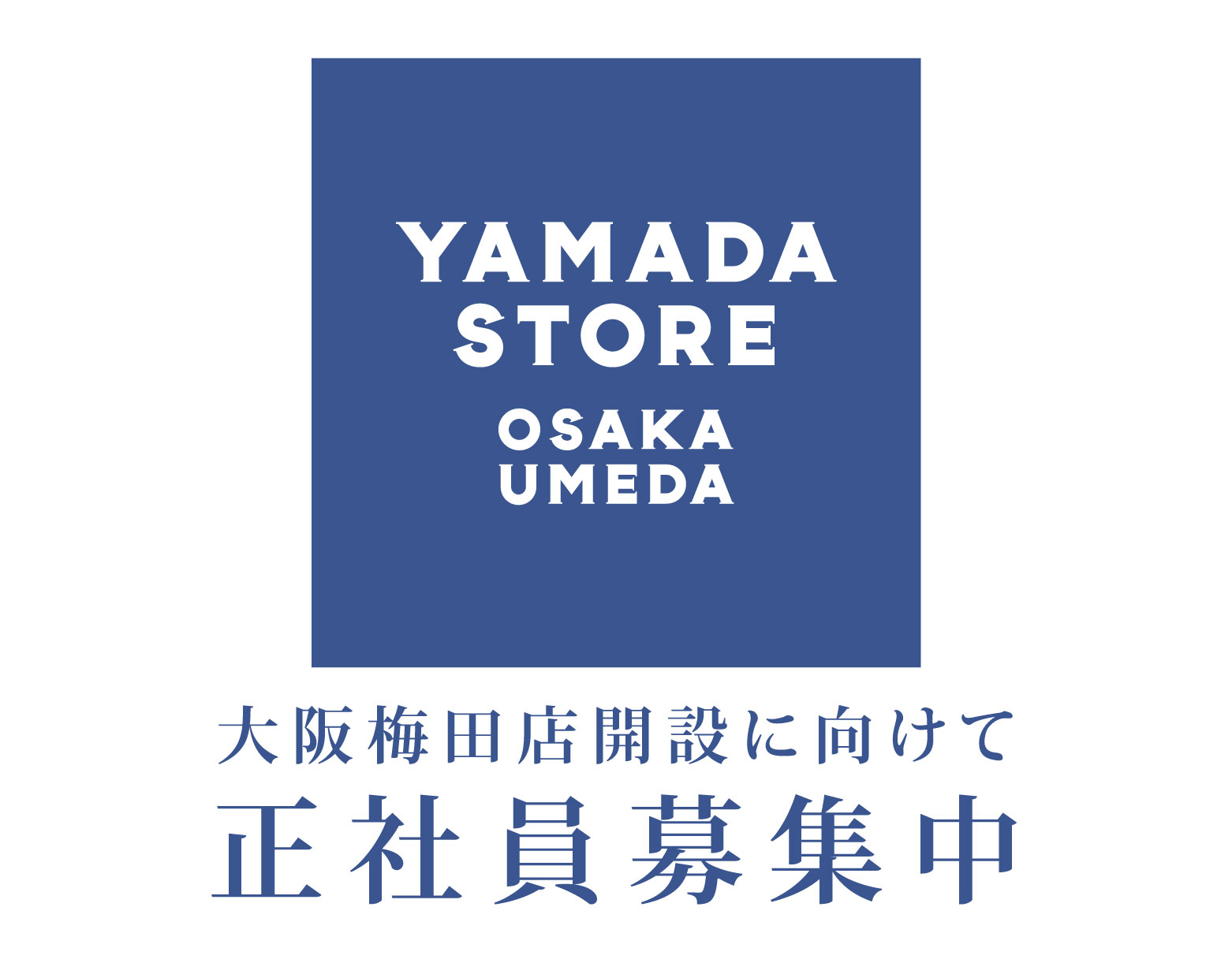 ヤマダストアー株式会社