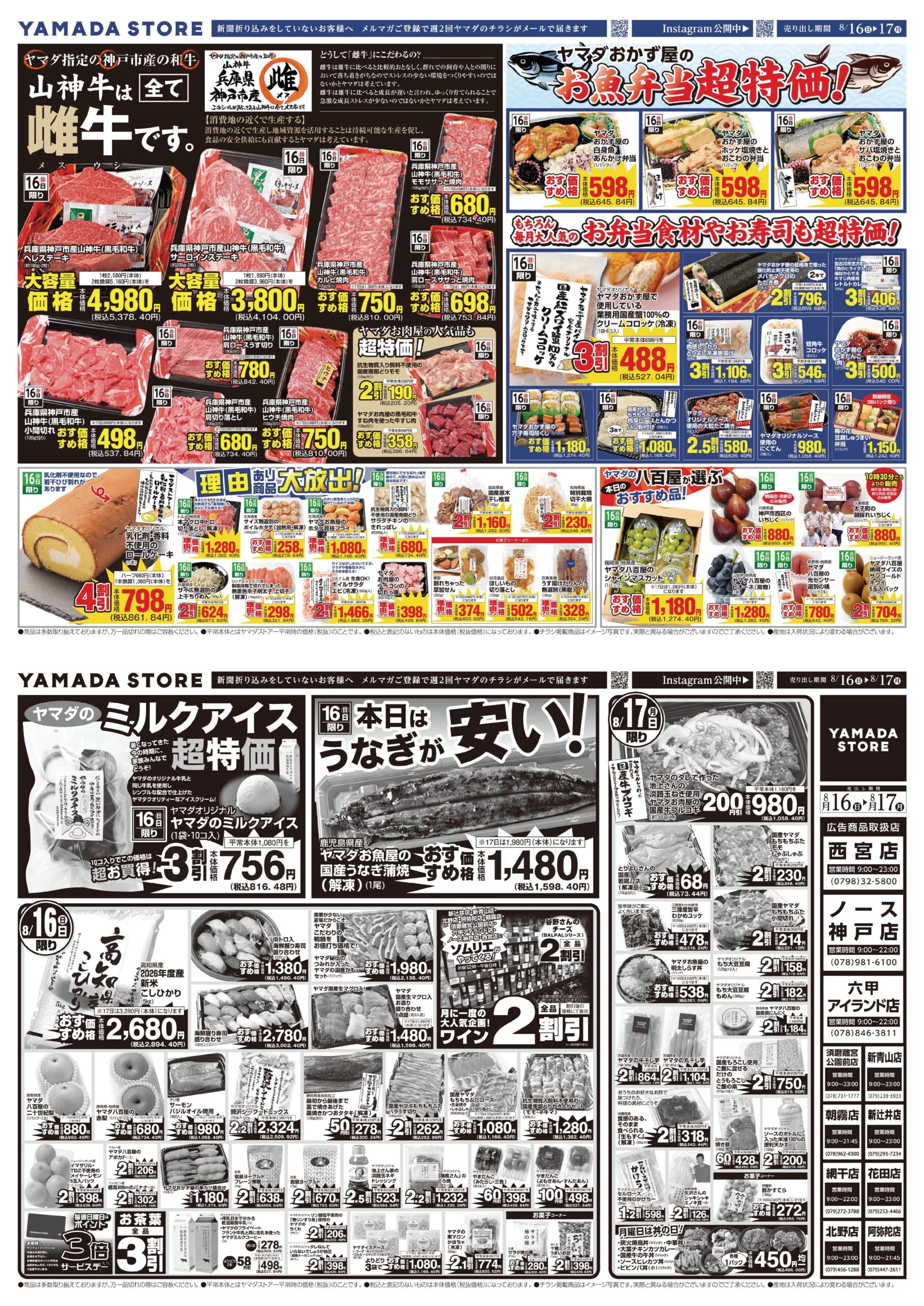 活動歴および当時の関連ビジュアル記録